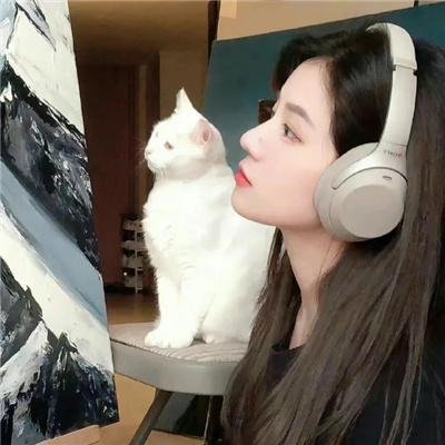 王朝的女人·杨贵妃